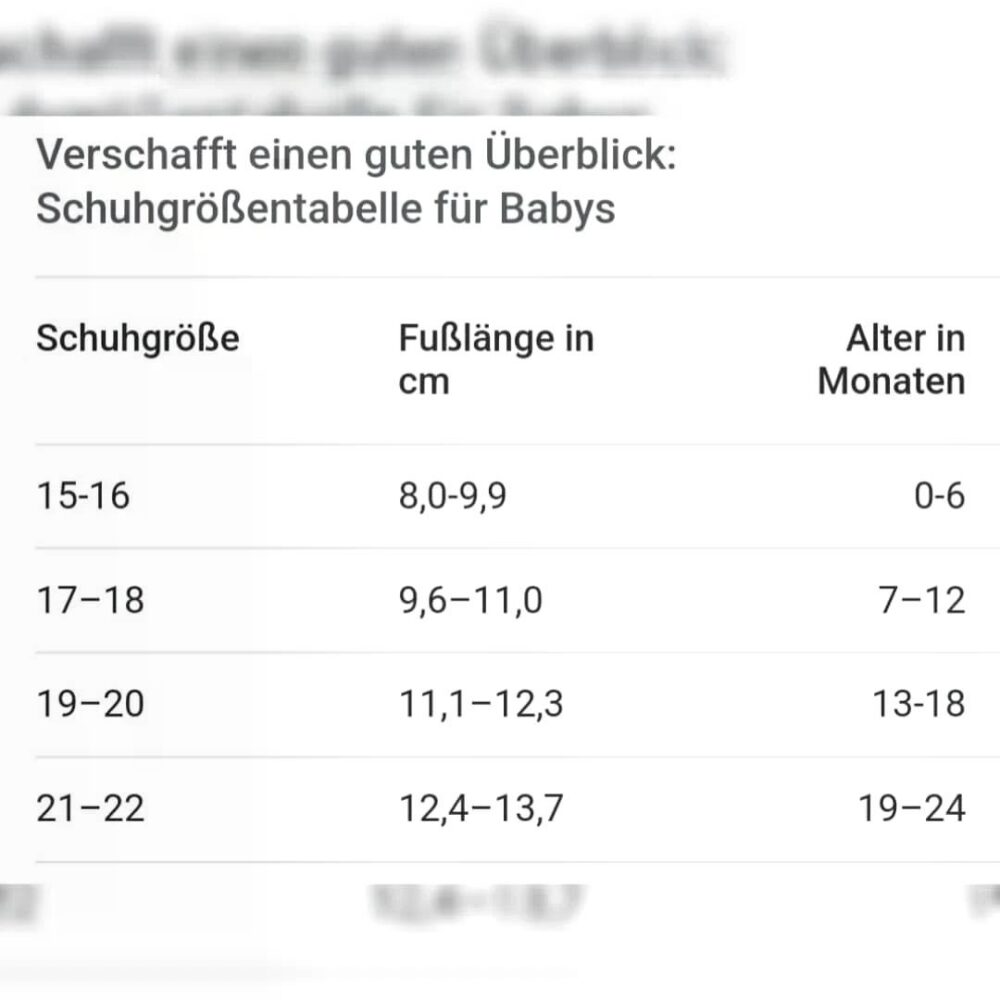 Babyschuhe Winter Boots „Blumen“ – warm gefüttert, Größe 17/18 (3–9 Monate)